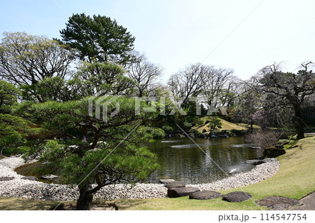 三保の松原を再現した洲浜(紅葉山庭園) 三保の松原を再現した洲浜(紅葉山庭園) 114547754