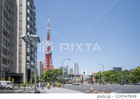 赤羽橋駅前交差点から望む東京タワーと街並み　東京都港区 114547849