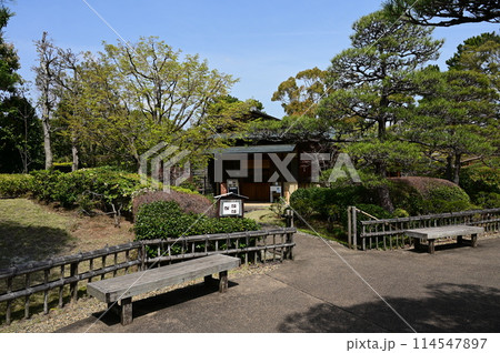 立礼席の茶室（紅葉山庭園） 114547897