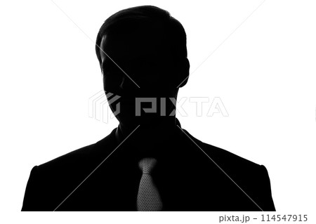 Portrait young man in suit, tie in silhouette - front view 114547915
