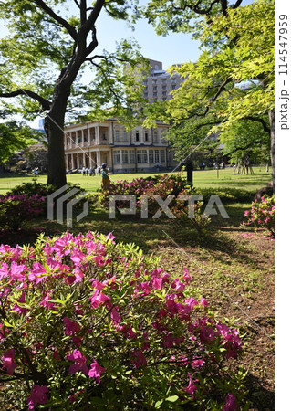 旧岩崎邸庭園 新緑が清々しい芝庭と植栽 東京都台東区 旧岩崎邸庭園 新緑が清々しい芝庭と植栽 東京都台東区 114547959