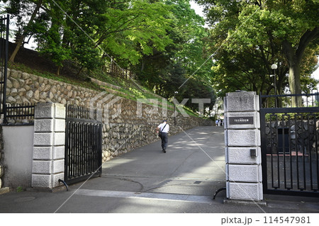 旧岩崎邸庭園 新緑に囲まれた正門 東京都台東区 旧岩崎邸庭園 新緑に囲まれた正門 東京都台東区 114547981