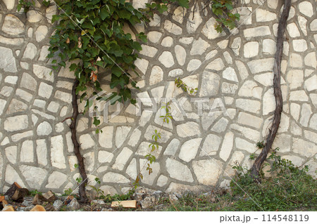 Stone texture on a wall in Montenegro. An ancient gray stone wall with curly plants and grass with firewood on it. Background. Template. For design. Vertical. 114548119