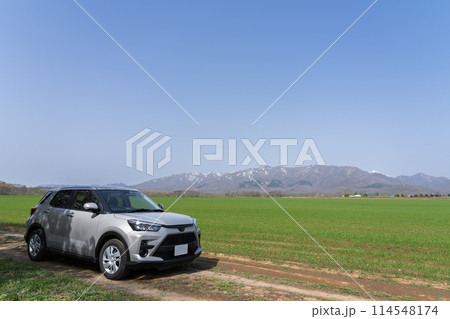 富良野・朝日ヶ丘公園の春 114548174