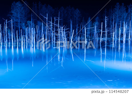 早春の青い池ライトアップ 早春の青い池ライトアップ 114548207