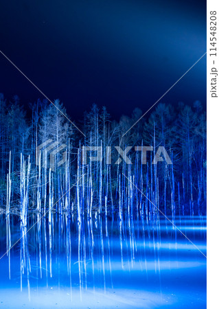 早春の青い池ライトアップ 早春の青い池ライトアップ 114548208