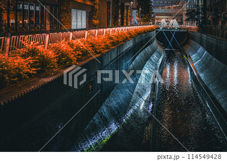夜の都市水路 114549428
