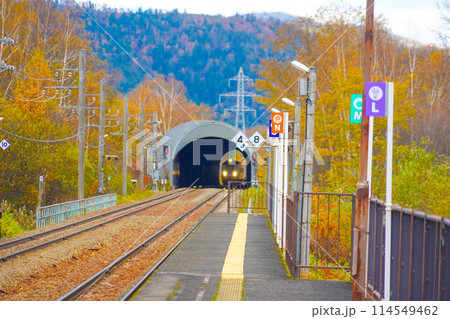 列車がトンネルを出る瞬間 114549462