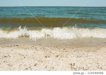 Sea wave on a sandy beach Sea wave on a sandy beach 114549498
