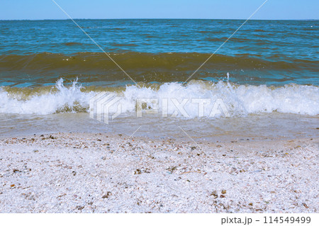 Sea wave on a sandy beach 114549499