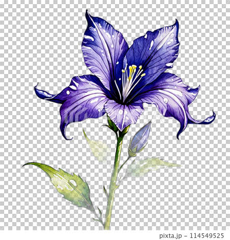 由翻譯提供支持 114549525