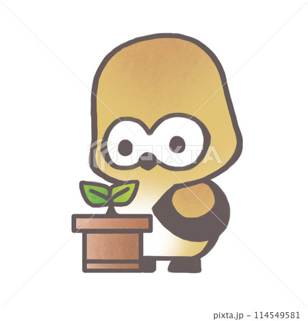 植木鉢とフクロウ 114549581