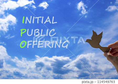 IPO initial public offering symbol. Concept words IPO initial public offering on beautiful blue sky clouds background. Wooden bird. Business IPO initial public offering concept. Copy space. 114549763