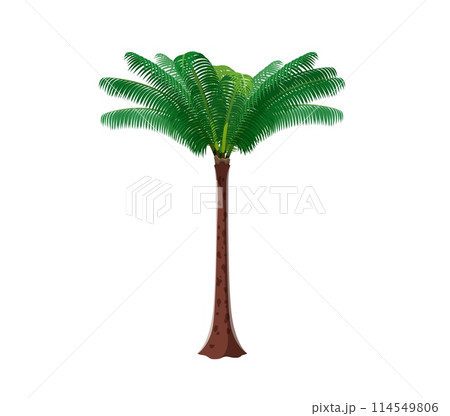 Cartoon jungle rainforest palm tree. Isolated vector tropical plant with lush fronds. Vibrant beach vegetation, biodiversity landscape element, game environment, exotic palm tree with vivid foliage 114549806