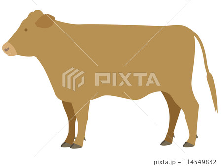 横から見た茶色い牛のイラスト 114549832