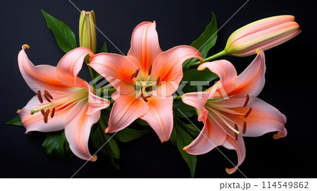 Beautiful peach color lily flowers on a black background, close-up. 114549862