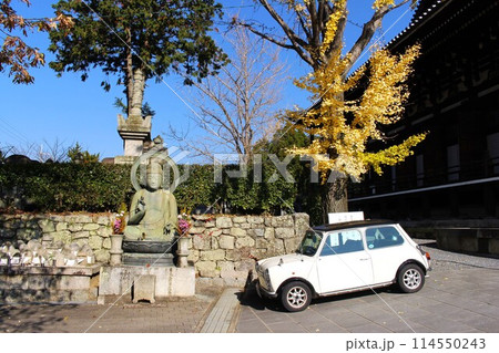京都寺院の仏像とクラシックカー 114550243