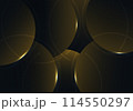 Abstract luxurious pattern of rounded circles template design decoration artwork. 114550297