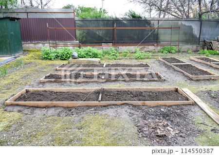 Garden beds fenced with boards for filling with fertile soil and fertilizers, for planting seedlings of vegetables and leafy greens. 114550387