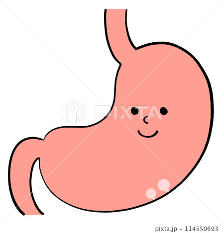 自覚症状のない良性のポリープがある胃のイラスト 114550693