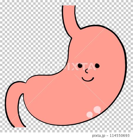 自覚症状のない良性のポリープがある胃のイラスト 114550693