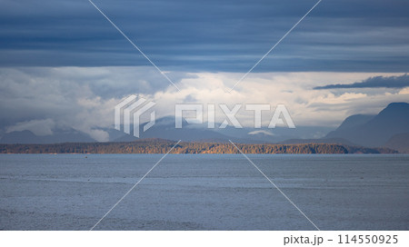 Sunlit coastal landscape in British Columbia Sunlit coastal landscape in British Columbia 114550925