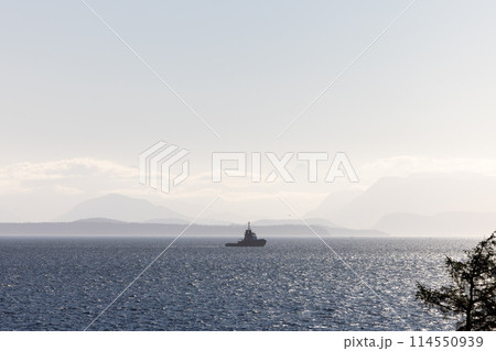 Sunlit fishing boat in foggy seascape Sunlit fishing boat in foggy seascape 114550939