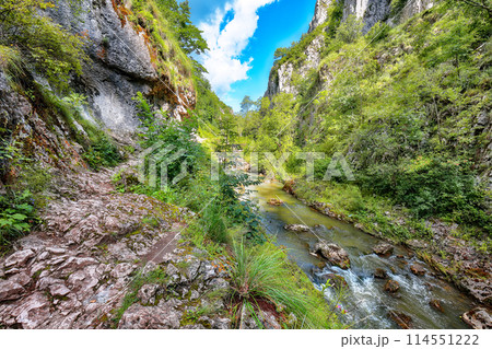 Amazing view of Turda Gorge (Cheile Turzii) natural reserve with marked trails for hikes on Hasdate river. 114551222