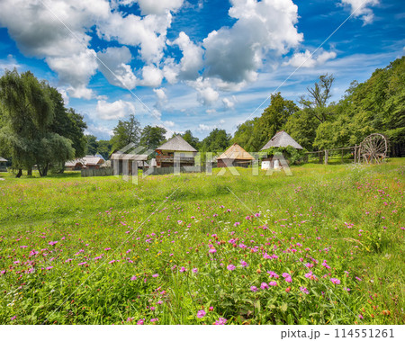 Amazing summer scene of traditional romanian peasant houses. 114551261