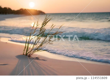 Rosy Horizons: Sunset Splendor by the Seashore 114551609