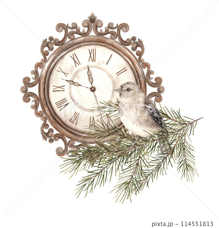 Fir branches, bird and copper clock, watercolor botanical illustrations on an isolated background in vintage style. Drawing for Christmas and New Year holidays, invitations, cards, wrapping paper Fir branches, bird and copper clock, watercolor botanical illustrations on an isolated background in vintage style. Drawing for Christmas and New Year holidays, invitations, cards, wrapping paper 114551813