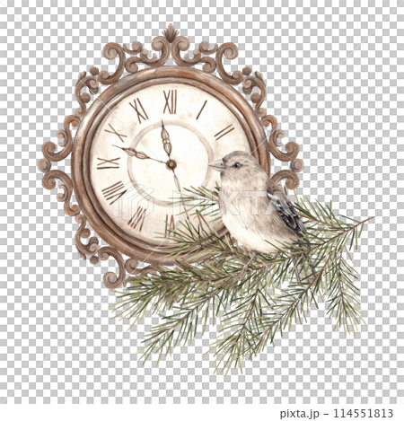 Fir branches, bird and copper clock, watercolor botanical illustrations on an isolated background in vintage style. Drawing for Christmas and New Year holidays, invitations, cards, wrapping paper 114551813