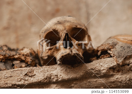 Ancient skull uncovered in catacomb depths 114553099