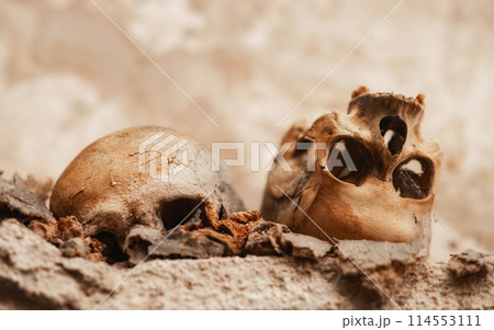 Ancient skull uncovered in catacomb depths 114553111