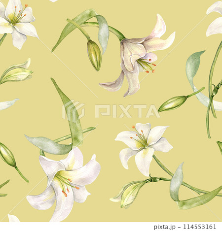 Flowers pastel color seamless pattern isolated on beige. White lilies watercolor background. Backdrop with lilium and leaves. Floral design for wedding invitation, christening, Easter card, textile 114553161