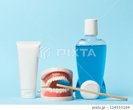 Human jaw model, mouthwash blue background, oral hygiene Human jaw model, mouthwash blue background, oral hygiene 114553184