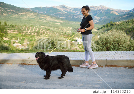 Side portrait of a woman in sportswear, walking her dog on leash in the nature. Multi ethnic enjoying walk with her pedigree purebred black cocker spaniel dog in the mountains nature outdoors Side portrait of a woman in sportswear, walking her dog on leash in the nature. Multi ethnic enjoying walk with her pedigree purebred black cocker spaniel dog in the mountains nature outdoors 114553216