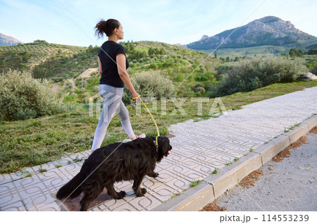Sporty woman walking her dog on leash in the 114553239