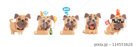 Funny Pug Dog Character with Cute Snout Vector Set 114553628