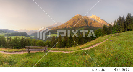 Meadow with road and bench during sunset in Berchtesgaden National Park Meadow with road and bench during sunset in Berchtesgaden National Park 114553697