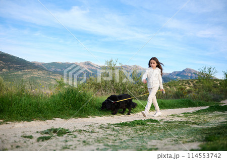 Adorable European child girl walking her pedigree dog, a black purebred cocker spaniel in the hills mountains nature outdoors on a sunny day. People. Nature and playing pets concept 114553742