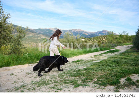 Adorable Caucasian child girl walking her pedigree dog, a black purebred cocker spaniel in the hills mountains nature outdoors on a sunny day. People. Nature and playing pets concept 114553743