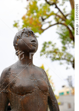 Japanese street art portrait Autumn scene behind a statue. 114553905