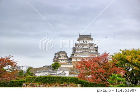 Himeji castle with autumn blue sky white cloud, frame one of japan's best destination for travel, Hyogo Japan. 114553907