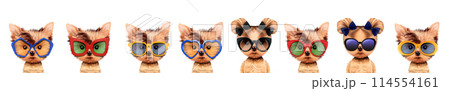 Funny adorable dog with aviator sunglasses Funny adorable dog with aviator sunglasses 114554161