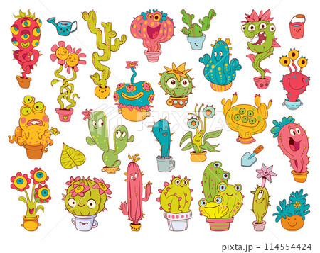 Charming monster flowers in different decorative pots. Plant care Charming monster flowers in different decorative pots. Plant care 114554424
