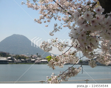 2004年・香川・宇多津・風景・其の三十一 2004年・香川・宇多津・風景・其の三十一 114554544