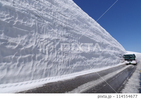 雪の大谷 立山黒部アルペンルート 雪の大谷 立山黒部アルペンルート 114554677