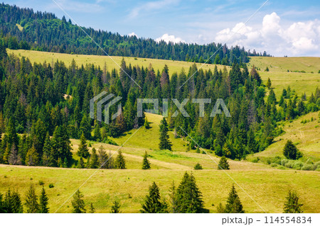 scenery with forested hills of podobovets village countryside. carpathian mountain landscape of ukrainian nature in summer 114554834
