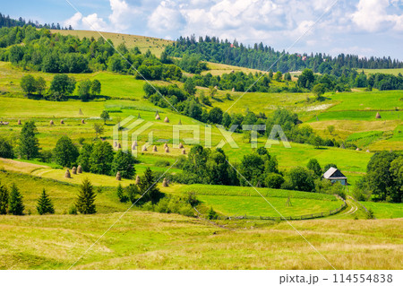 countryside scenery of podobovets village with rural fields on the hill. carpathian mountain landscape of ukraine in summer. sustainable life in transcarpathia countryside scenery of podobovets village with rural fields on the hill. carpathian mountain landscape of ukraine in summer. sustainable life in transcarpathia 114554838